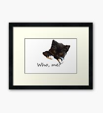 Who me? kitten Framed Print