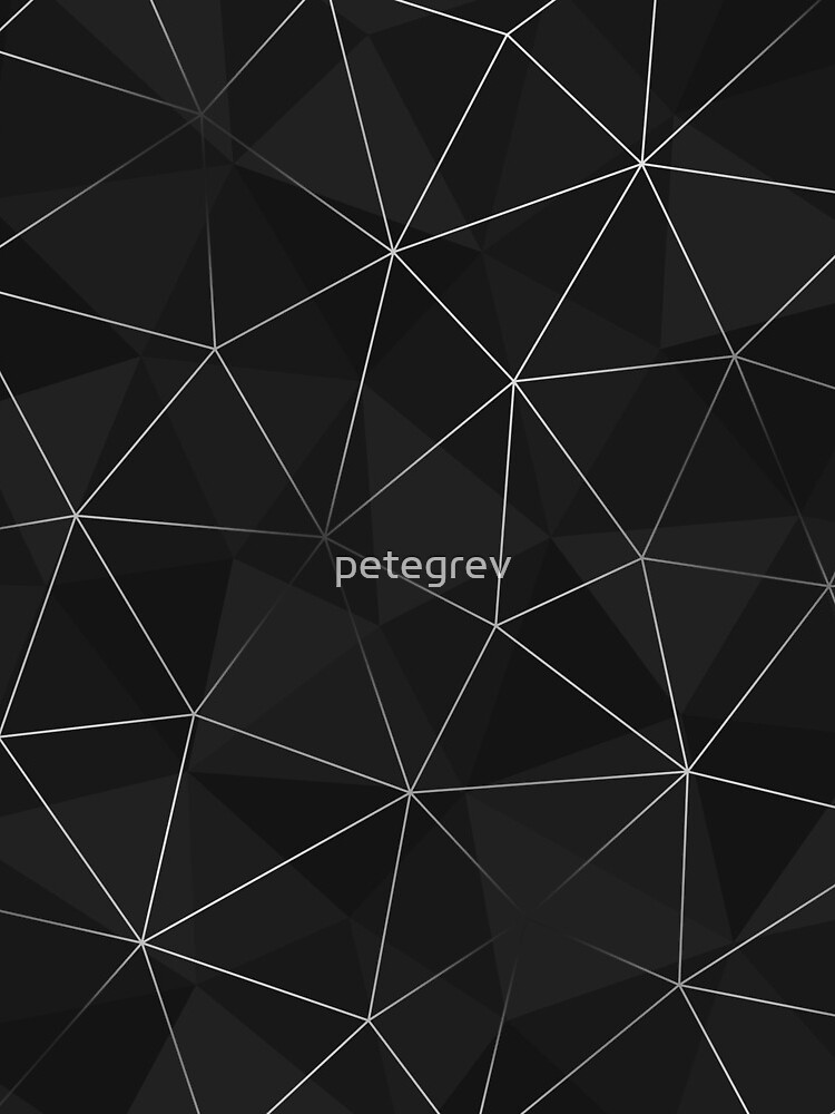 Kintsugi - Silver Mesh by petegrev