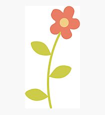 Pink Flower Photographic Print