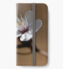 Fantasy iPhone Wallet/Case/Skin