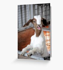 Hello! Looks Like Lunch. Greeting Card