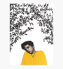Elio Perlman Photographic Print