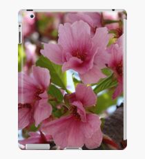 Cherry Blossoms iPad Case/Skin