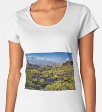 Arizona's Desert Landscape Women's Premium T-Shirt