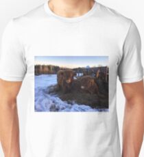 Scottish Highland Cattle Cow and Calf 1642 Unisex T-Shirt