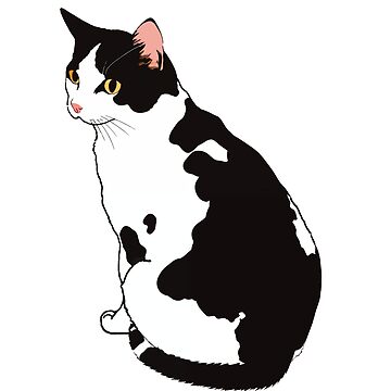 "Tuxedo cat loaf" Poster for Sale by xiao xuans | Redbubble