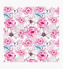 garden Photographic Print