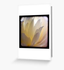 white petals ttv Greeting Card