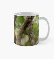 Eastern Yellow Robin Mug