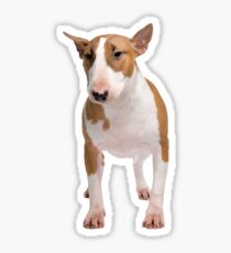 Bull terrier Sticker