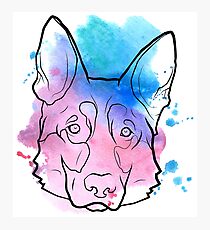 GERMAN SHEPHERD - Splat Photographic Print