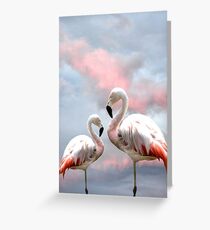 Flamingo Sky sunset birds Greeting Card