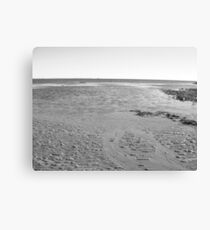 balnarring beach Canvas Print