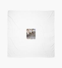 The Magnified Overhang inside a Anciant Boulder , Wow. Scarf
