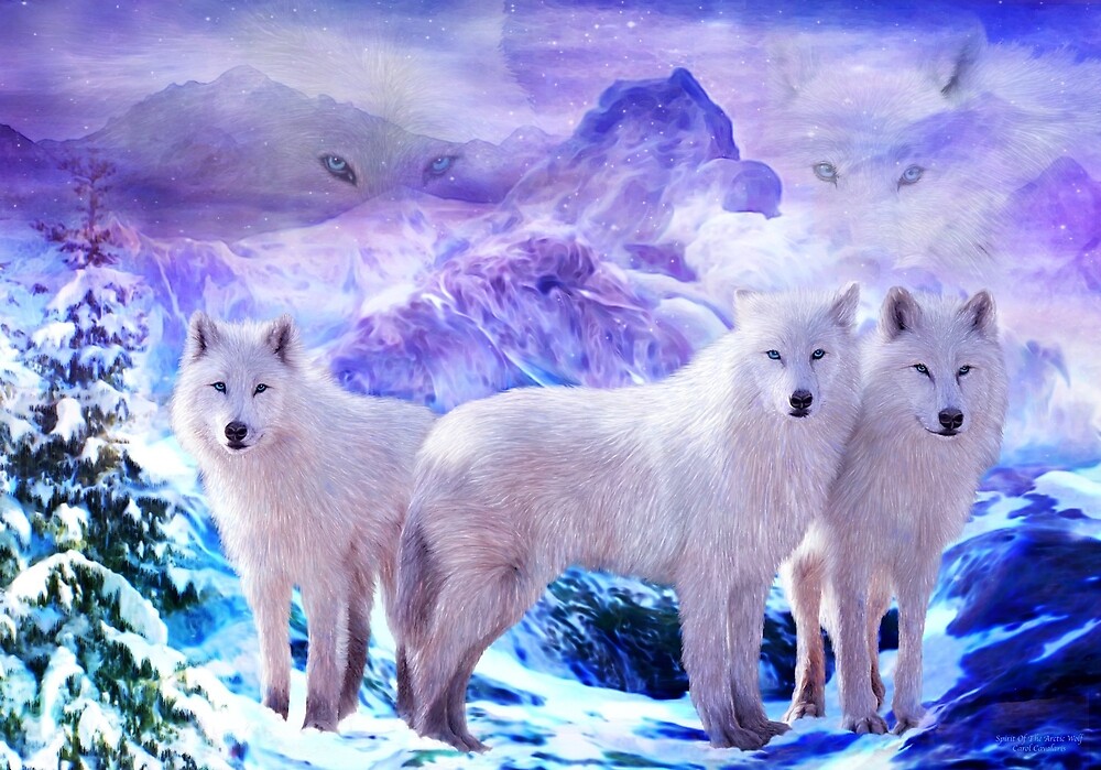 Spirit Of The Arctic Wolf By Carol Cavalaris Redbubble