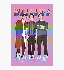 Lámina fotográfica Wallows Spring