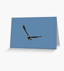 Attacking Greeting Card