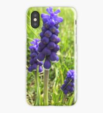 Lupins in the sun iPhone Case