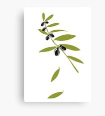olive grenade Canvas Print