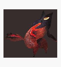 Wolfgang Photographic Print