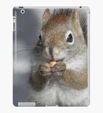 Food - Glorious Food iPad Case/Skin