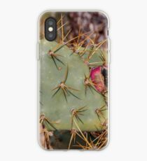 Opuntia prickly pear cactus with thorns and fruits, prickly close up iPhone Case