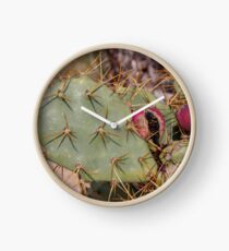 Opuntia prickly pear cactus with thorns and fruits, prickly close up Clock