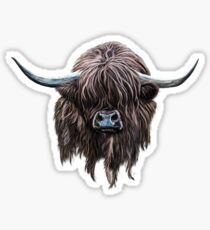 Scottish 'Heilan Coo' Sticker