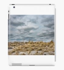 Sandy dune grass with stormy sky. iPad Case/Skin