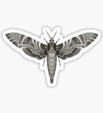 Moth Sticker