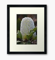 Nature's Brush Framed Print