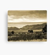 Twilight Pastoral Canvas Print