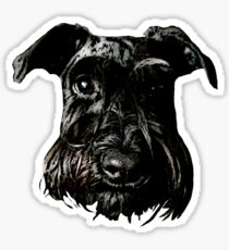 Black Schnauzer Gaze Sticker