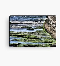 Green marine Canvas Print