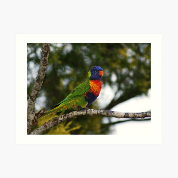 True Colours Art Print