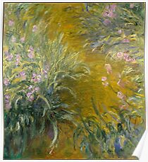 The Path through the Irises Poster