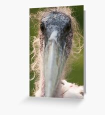 vulture Greeting Card