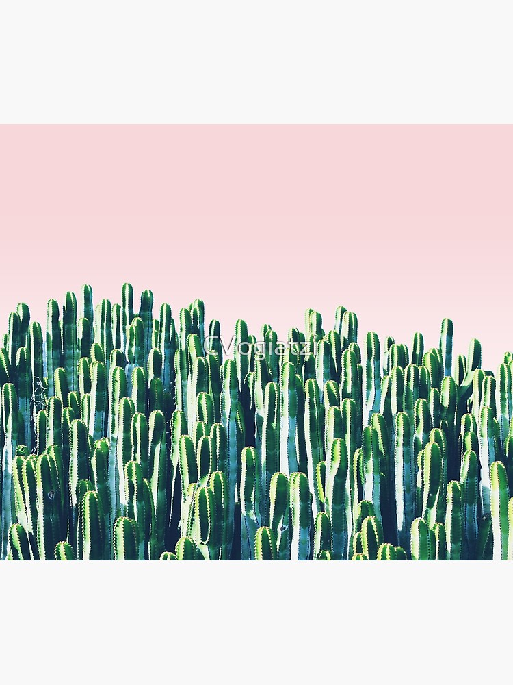 Cactus & Sunset by CVogiatzi