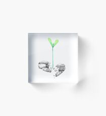Soul Renewal Acrylic Block