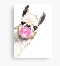 Sneaky Lama mit Kaugummi Metallbild
