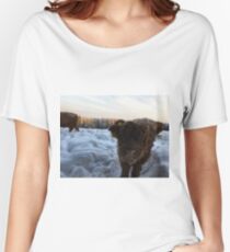 Scottish Highland Cattle Calf 1656 Women's Relaxed Fit T-Shirt