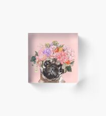Bloque acrílico El pug melancólico con corona de flores en rosa