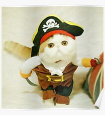 Pets Pirate Costume Suit Poster