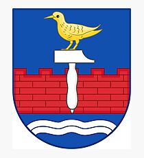 Coat of arms of Herning, Denmark Photographic Print