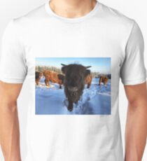 Scottish Highland Cattle Calf 1670 Unisex T-Shirt