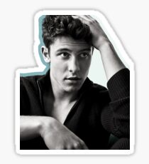 shawn mendes Sticker