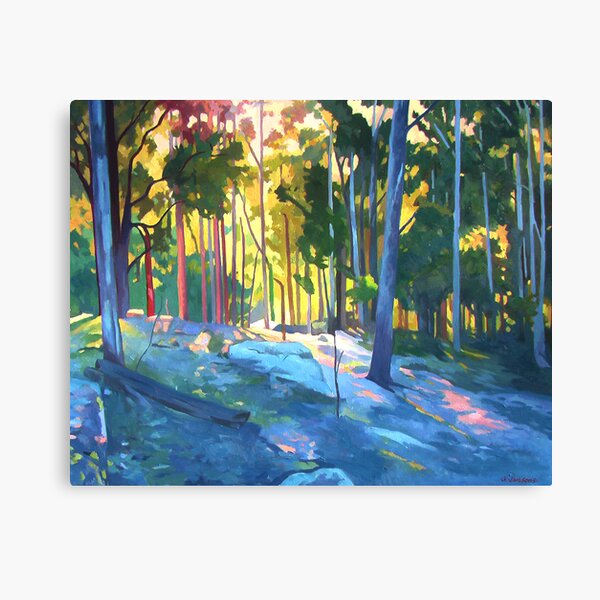 Sunlight through trees Canvas Print