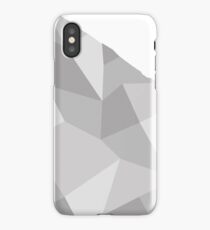 Sneaker's sneaker iPhone Case