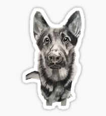 German Shepherd Sticker