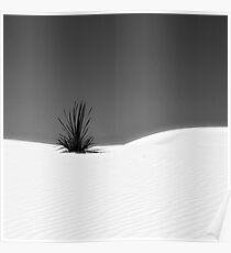 YUCCA / HORREUR Poster